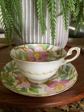 Tuscan Royal Tuscan British Columbia Dogwood footed tea cup and saucer set